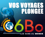 https://www.c6bo-voyages.fr