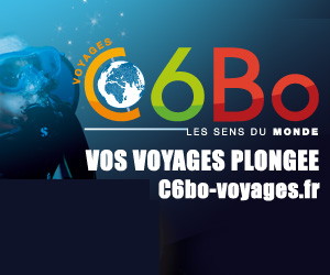 https://www.c6bo-voyages.fr