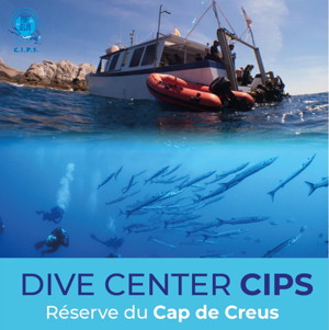 https://https://www.cips-dive.com/fr/