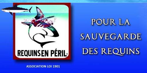 854,Requins-en-peril