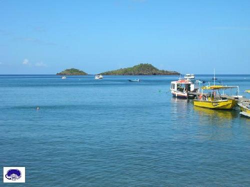 144,Les-Ilets-Pigeon---Reserve-Cousteau