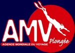 363,Amv-voyages