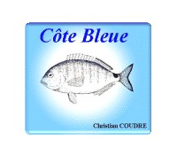 417,Cote-Bleue