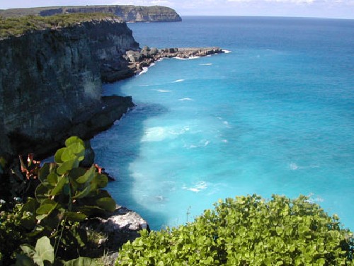 479,Guadeloupe