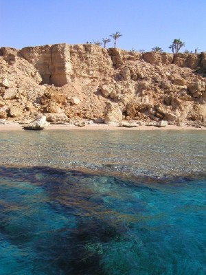 391,Sharm-el-Sheikh